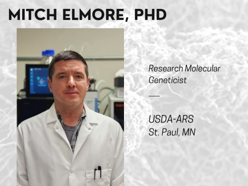 Head shot of Mitch Elmore in his lab wearing a lab coat.